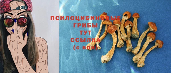 марки nbome Карпинск