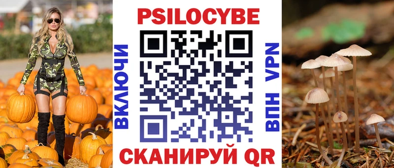 дарнет шоп  Невель  Псилоцибиновые грибы мухоморы 