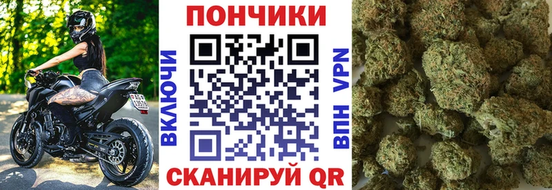 Канабис OG Kush  Невель 